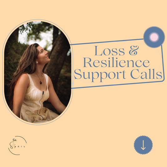 Loss and Resilience Support Calls